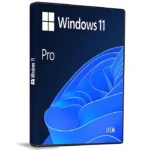 Windows 11 Pro license key (OEM)