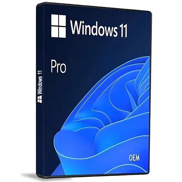 Windows 11 Pro license key (OEM)