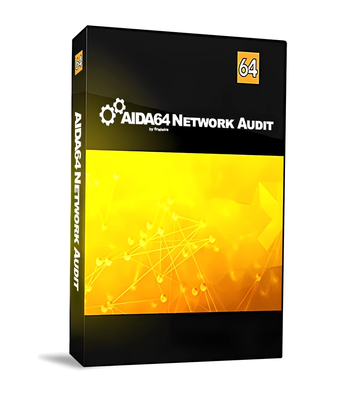 AIDA64 Network audit